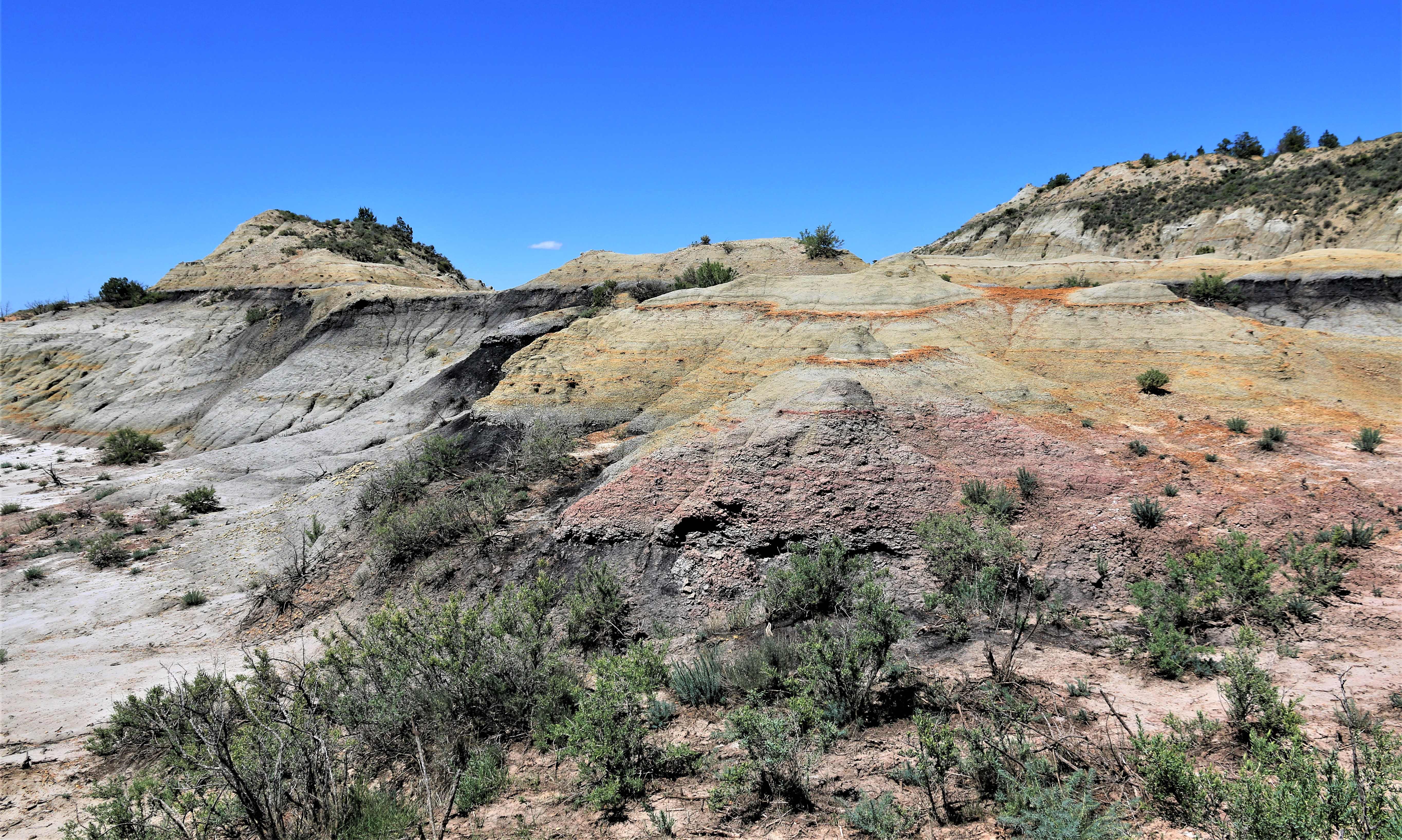 Theodore Roosevelt NP